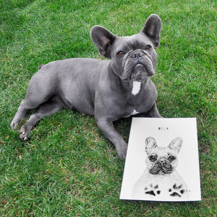 Dog paw print keepsake kits