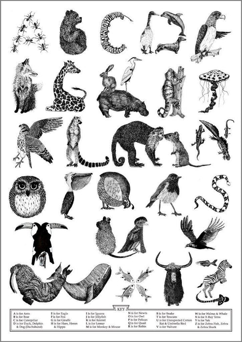 Animal Alphabet Print-Lucy Coggle