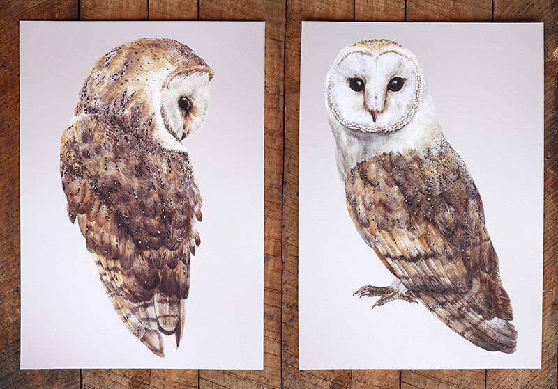 Pair of Barn Owls prints-Lucy Coggle