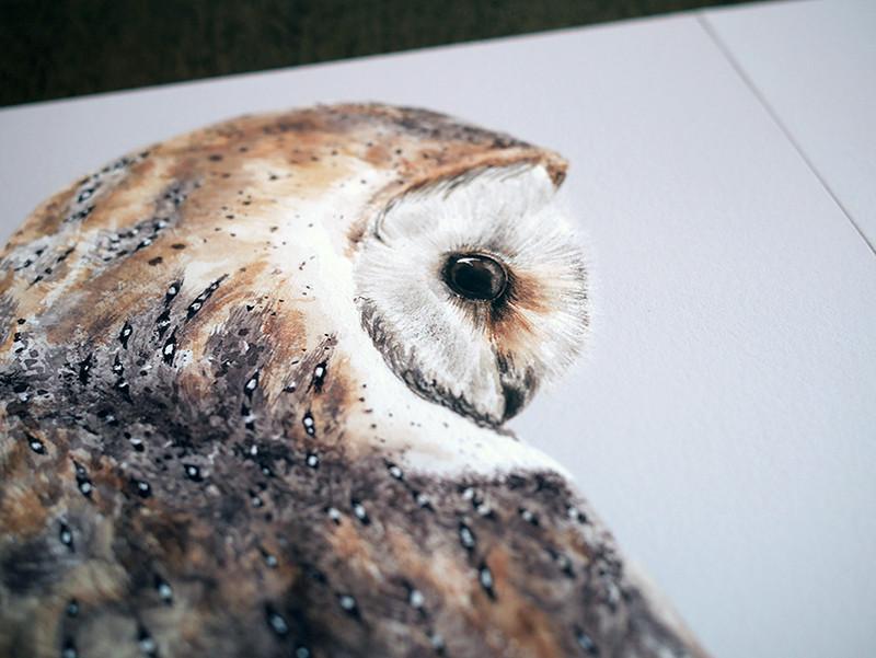 Pair of Barn Owls prints-Lucy Coggle