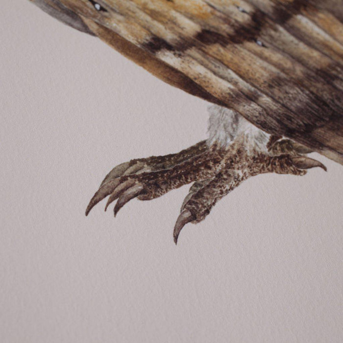 Pair of Barn Owls prints-Lucy Coggle