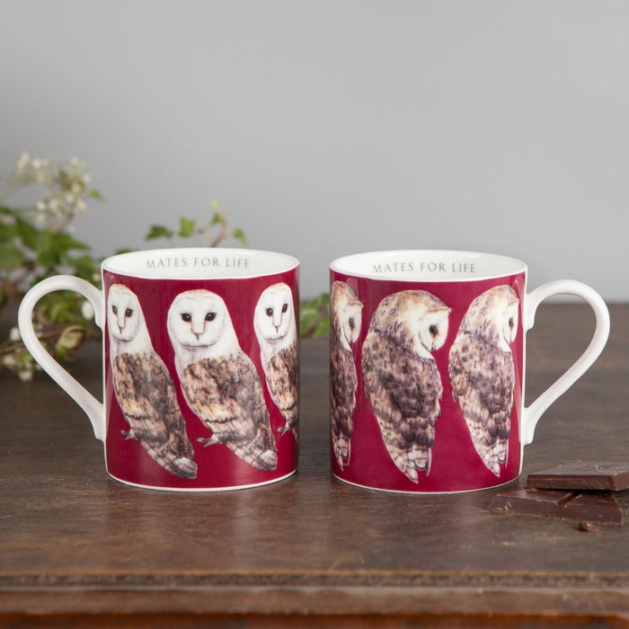 Pair of Bone China Barn Owl Mugs-Lucy Coggle