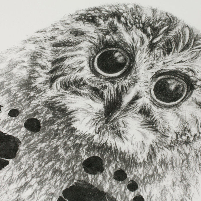 Personalised Baby Owl Footprint Kit-Lucy Coggle