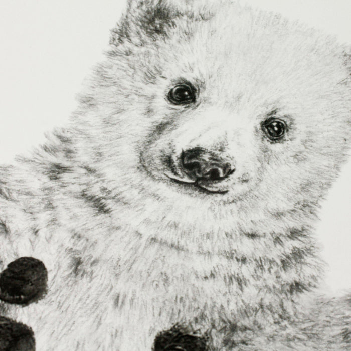 Personalised Baby Polar Bear Footprint Kit-Lucy Coggle