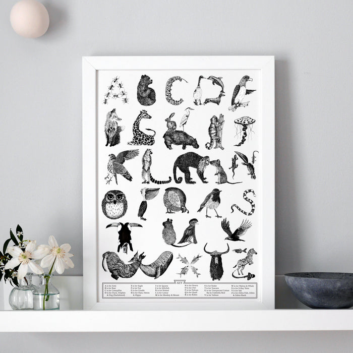 Animal Alphabet