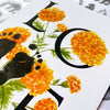 October birth month flower Marigold footprint kit close up