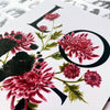 November birth month flower Chrysanthemum footprint kit close up