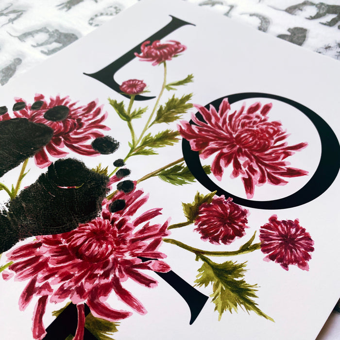 November birth month flower Chrysanthemum footprint kit close up