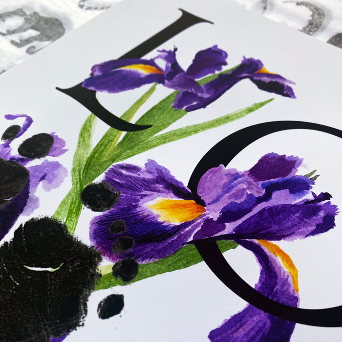 February birth month flower Iris footprint kit close up