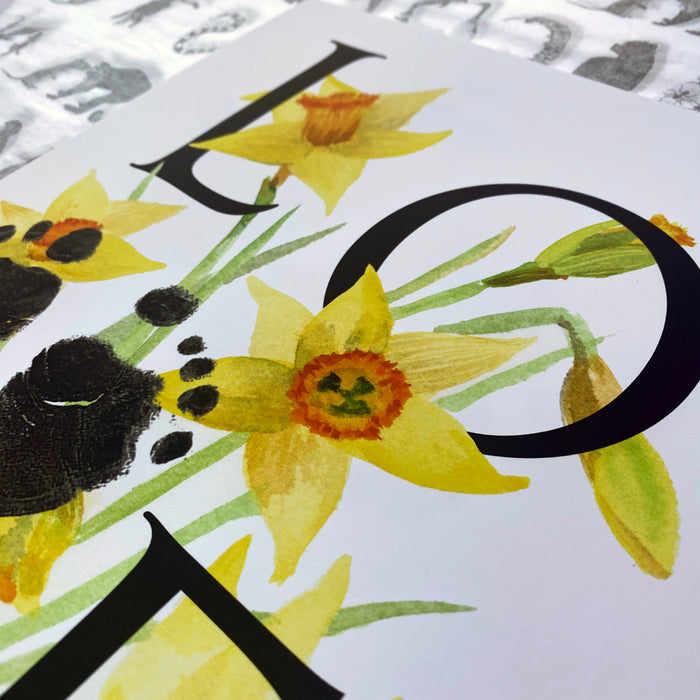 March birth month flower Daffodil footprint kit close up