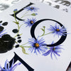 September birth month flower Aster footprint kit close up