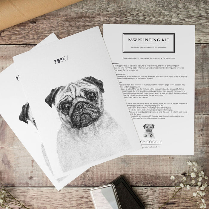 Personalised Pug Paw Print Keepsake Kit
