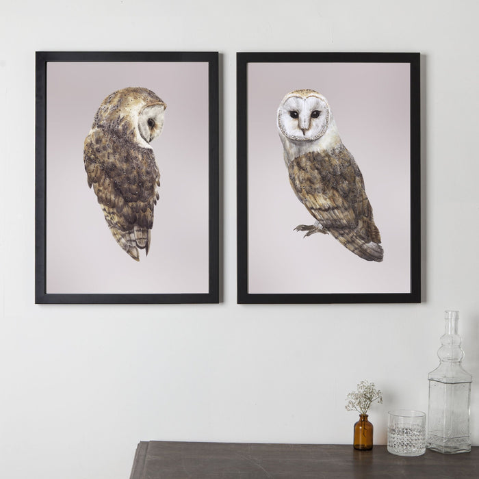 Pair of Barn Owls Mates for Life Prints