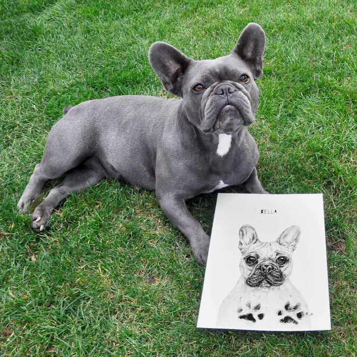 Personalised French Bulldog Paw Print Keepsake Kit