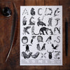 animal alphabet pen and ink drawing