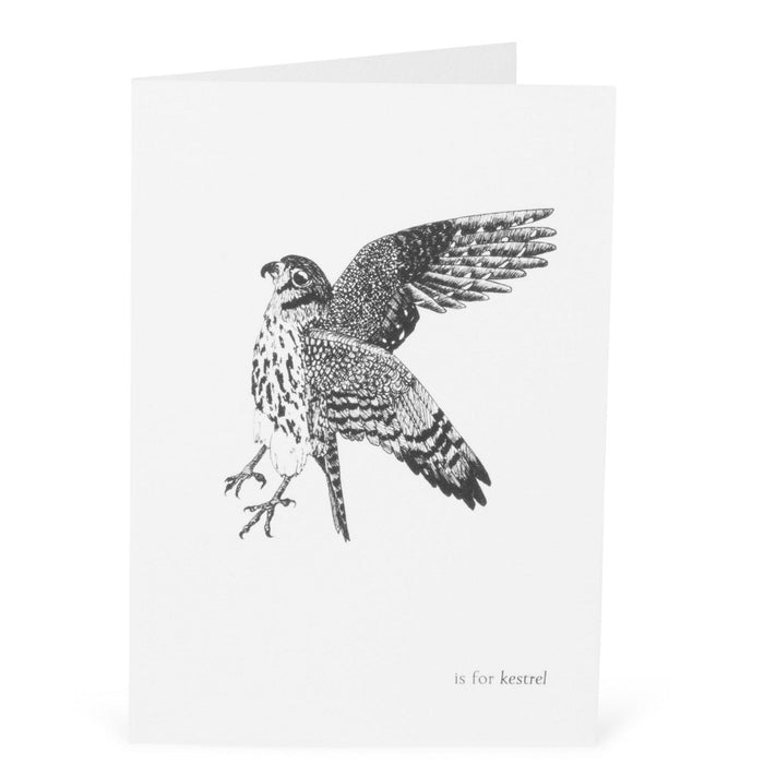 K is for Kestrel Card-Lucy Coggle