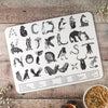 Large Animal Alphabet Children's Placemat-Lucy Coggle