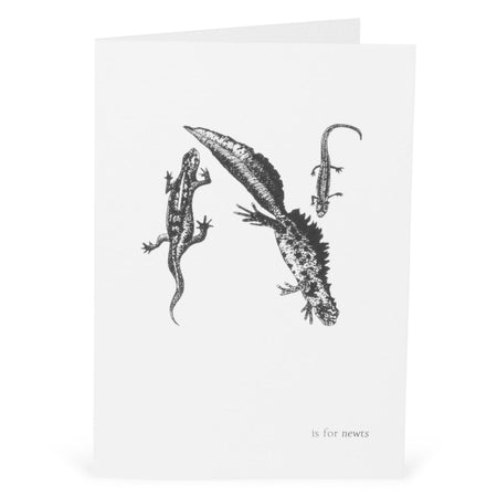 N is for Newts Card-Lucy Coggle