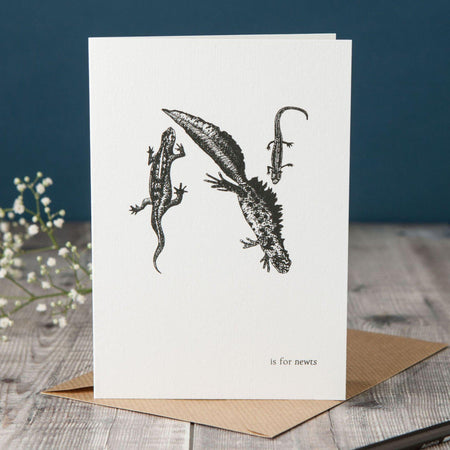 N is for Newts Card-Lucy Coggle