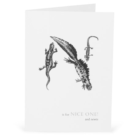 N is for Nice One! Card-Lucy Coggle