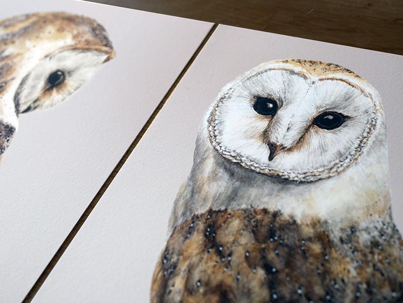 Pair of Barn Owls prints-Lucy Coggle