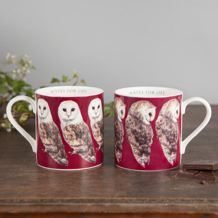 Pair of Bone China Barn Owl Mugs-Lucy Coggle
