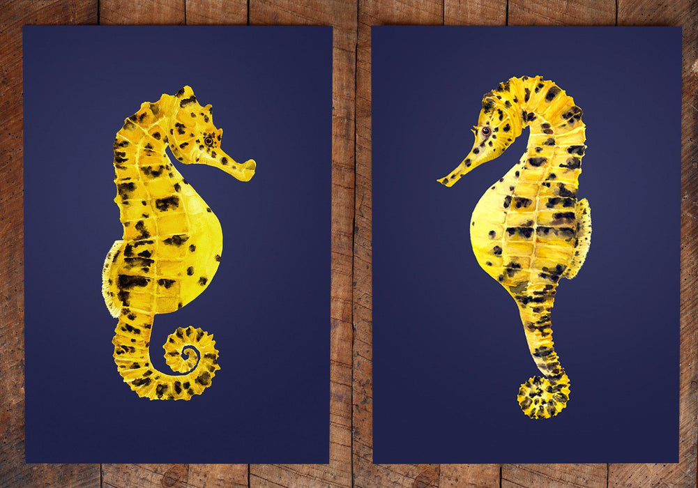 Pair of potbellied Seahorses prints-Lucy Coggle