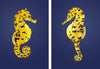 Pair of potbellied Seahorses prints-Lucy Coggle