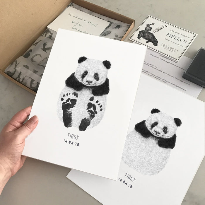 Panda footprint kit box