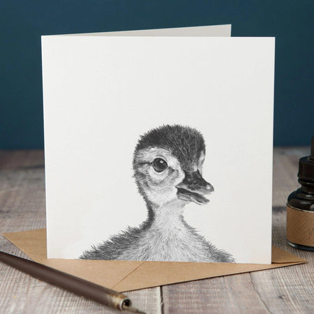Peeping Duck Card-Lucy Coggle