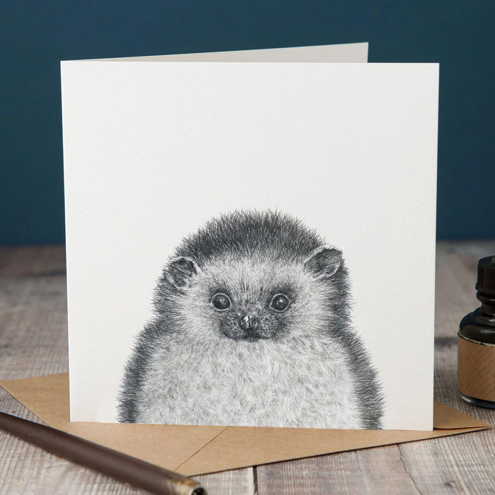 Peeping Hedgehog Card-Lucy Coggle