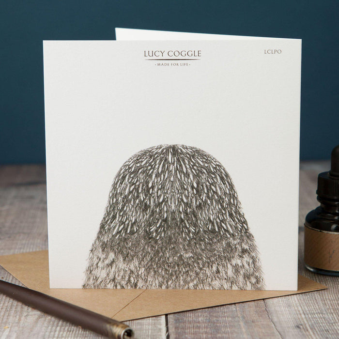 Peeping Owl Card-Lucy Coggle