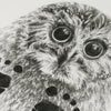 Personalised Baby Owl Footprint Kit-Lucy Coggle