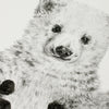 Personalised Baby Polar Bear Footprint Kit-Lucy Coggle