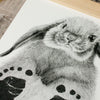 Personalised Baby Rabbit Footprint Kit-Lucy Coggle