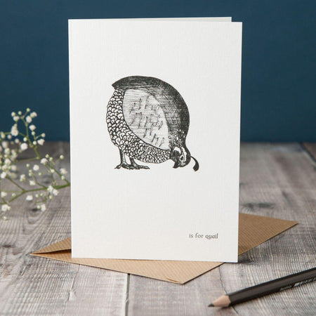 Q is for Quail Card-Lucy Coggle