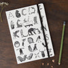 Round Cornered Animal Alphabet Notebook-Lucy Coggle