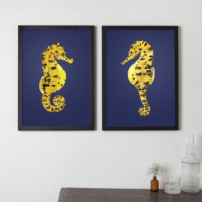 Pair of Potbellied Seahorses Mates for Life Prints
