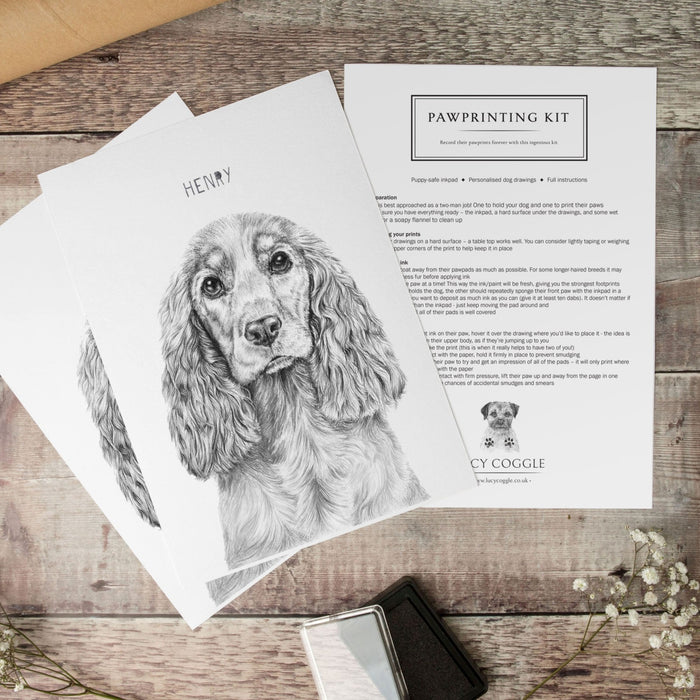 Personalised Cocker Spaniel Paw Print Keepsake Kit